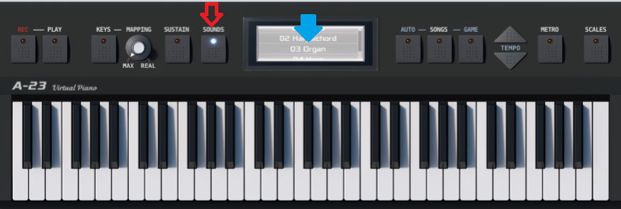 Organ.bmp - 757kB