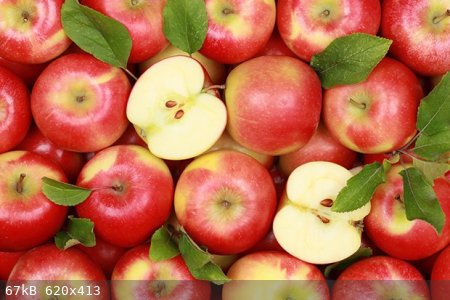 apfel.jpg - 67kB