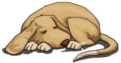 sleeping-dog.jpg - 53kB