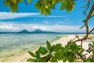 Papua-beach.jpg - 82kB
