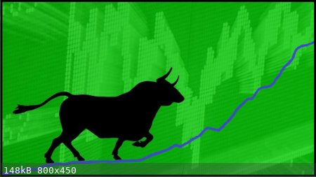 Bull_Stock.jpg - 148kB