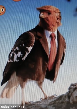 Trump-bird.jpg - 65kB