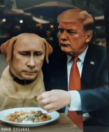 Putin-dog.jpg - 68kB