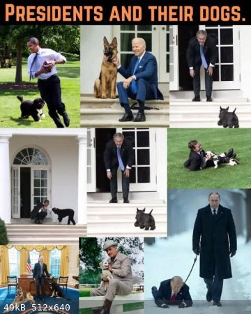 presidents-dogs.jpg - 49kB