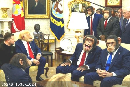 trump-affen.jpg - 362kB