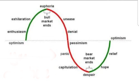 bull-bear-cycle.bmp - 667kB
