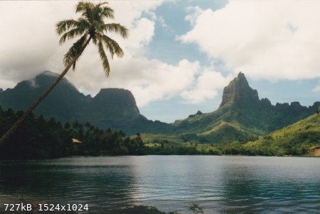 Moorea-Opunohu.jpg - 727kB