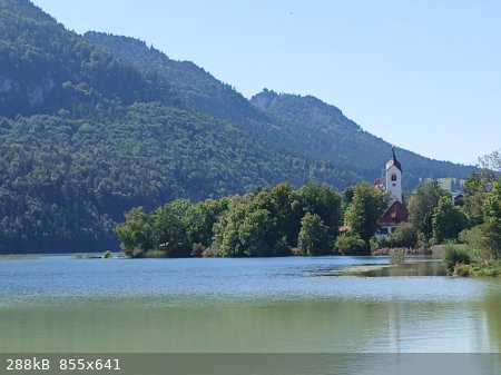 Weis-7.jpg - 288kB